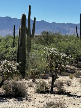 Tucson Horse Property Land