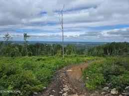 Picture 4