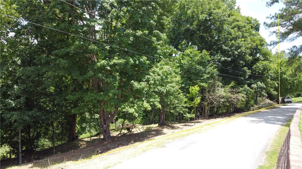 Picture 5