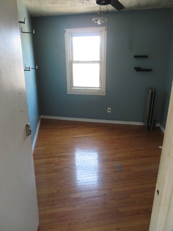 Picture 28