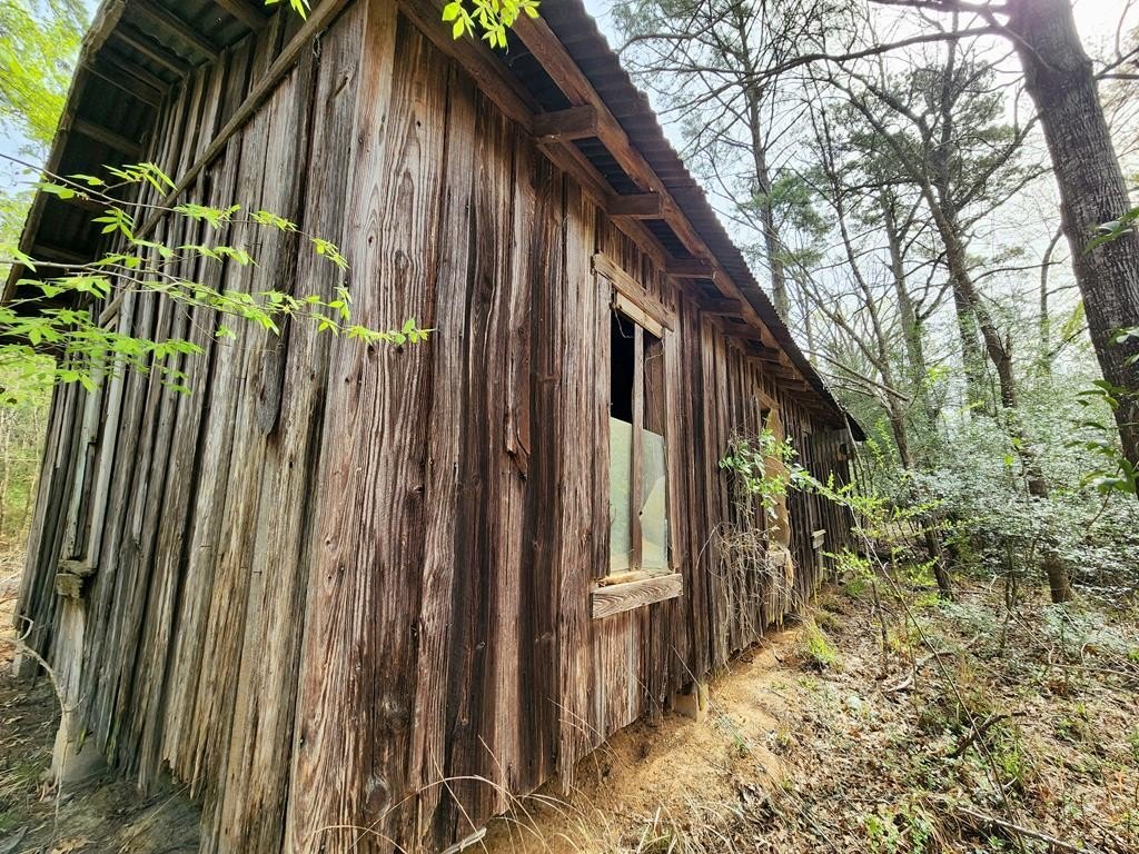 Picture 3