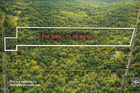 Large Wooded Tract in Snow Camp