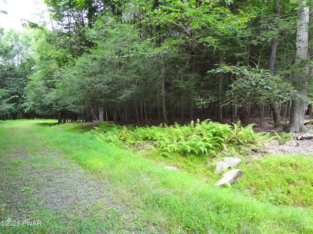 Picture 9