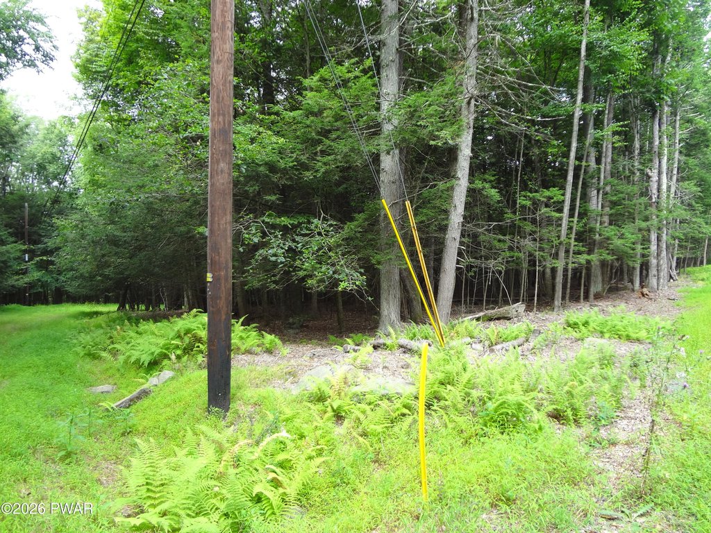 Picture 7
