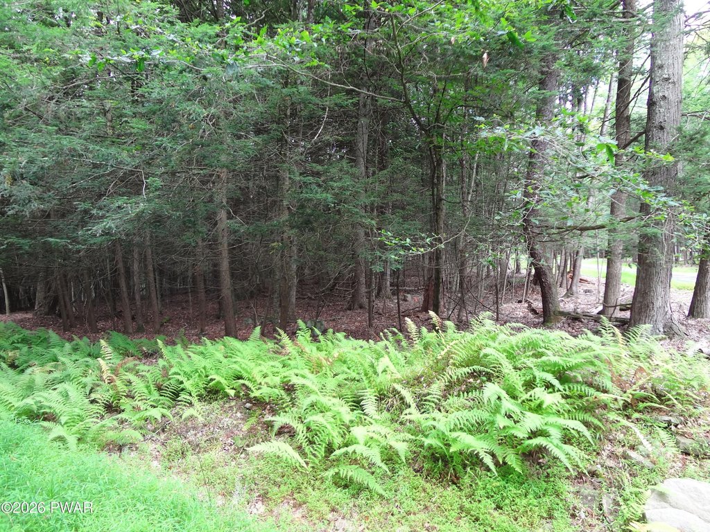 Picture 10