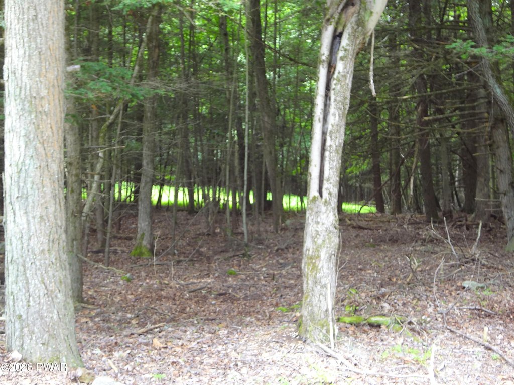 Picture 11