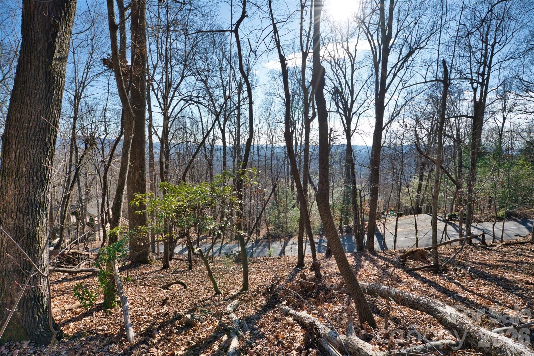 Mills River Buildable Lot