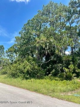 Palm Bay Land For Sale