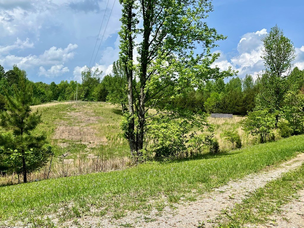 Picture 26