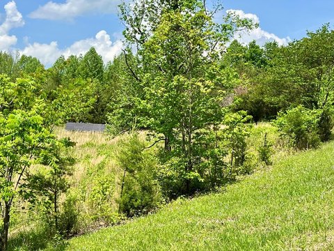 Land, Hilham, TN
