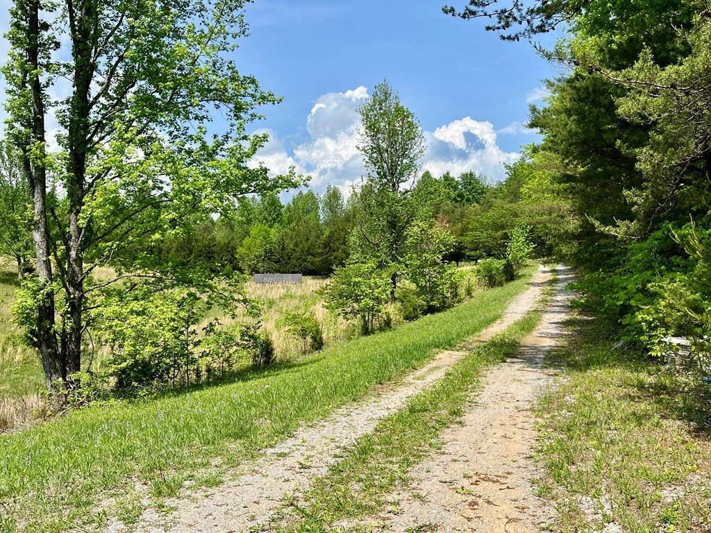 Picture 27