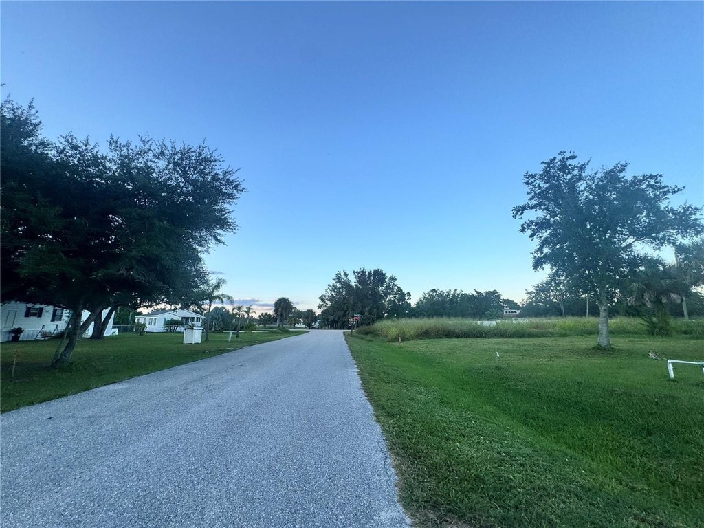 Picture 19