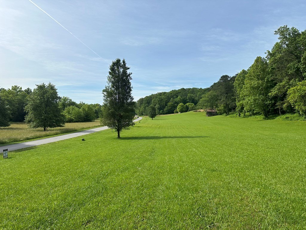 Picture 7