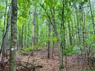 Picture 22