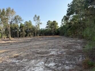 LAND - Carriere, MS