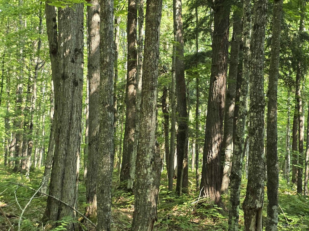 Picture 30