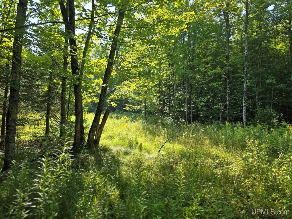 Picture 39