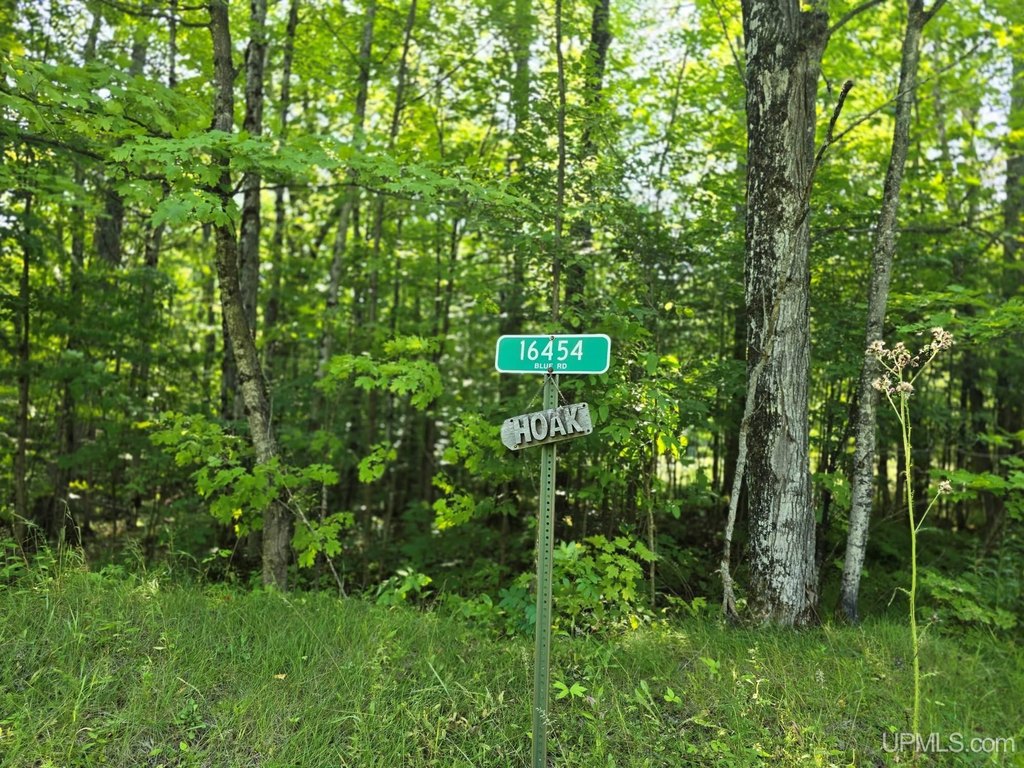Picture 10