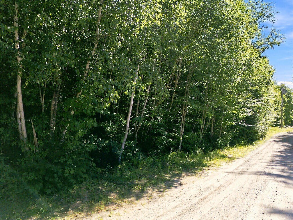 Picture 19