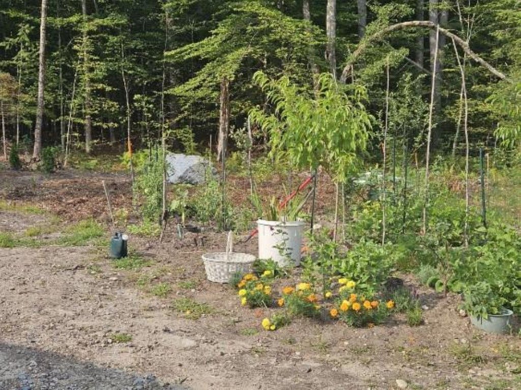 Picture 11