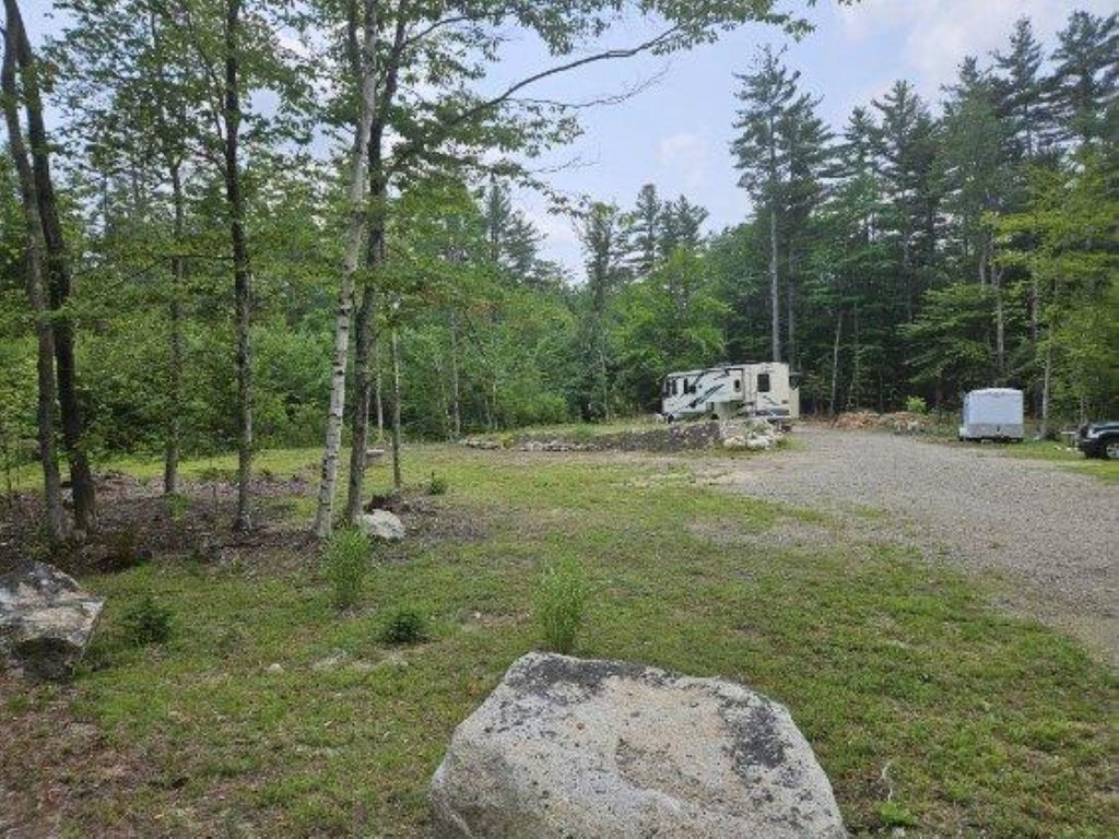 Picture 9