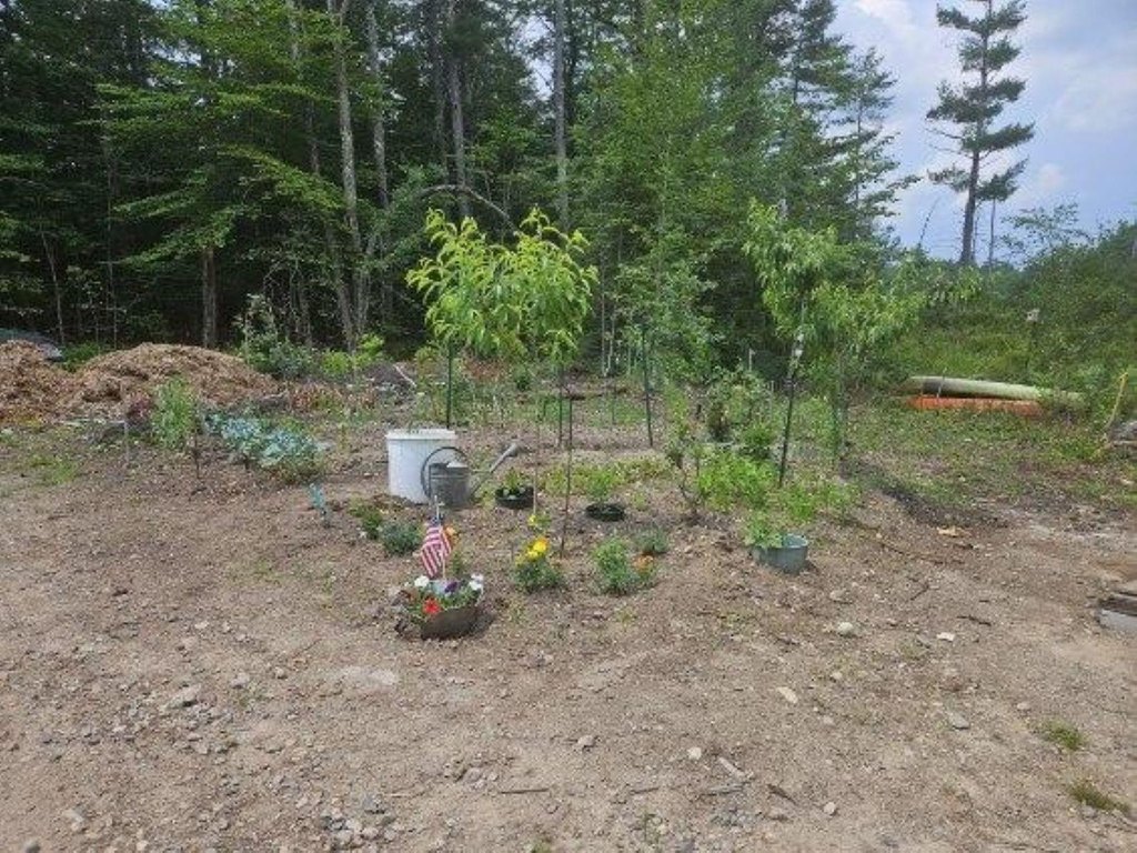 Picture 7