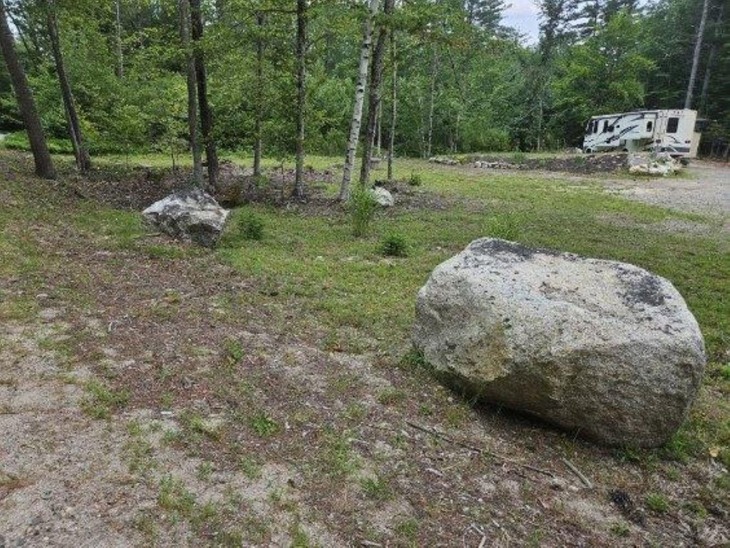 Picture 4