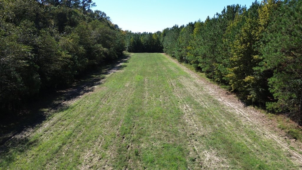 Picture 3