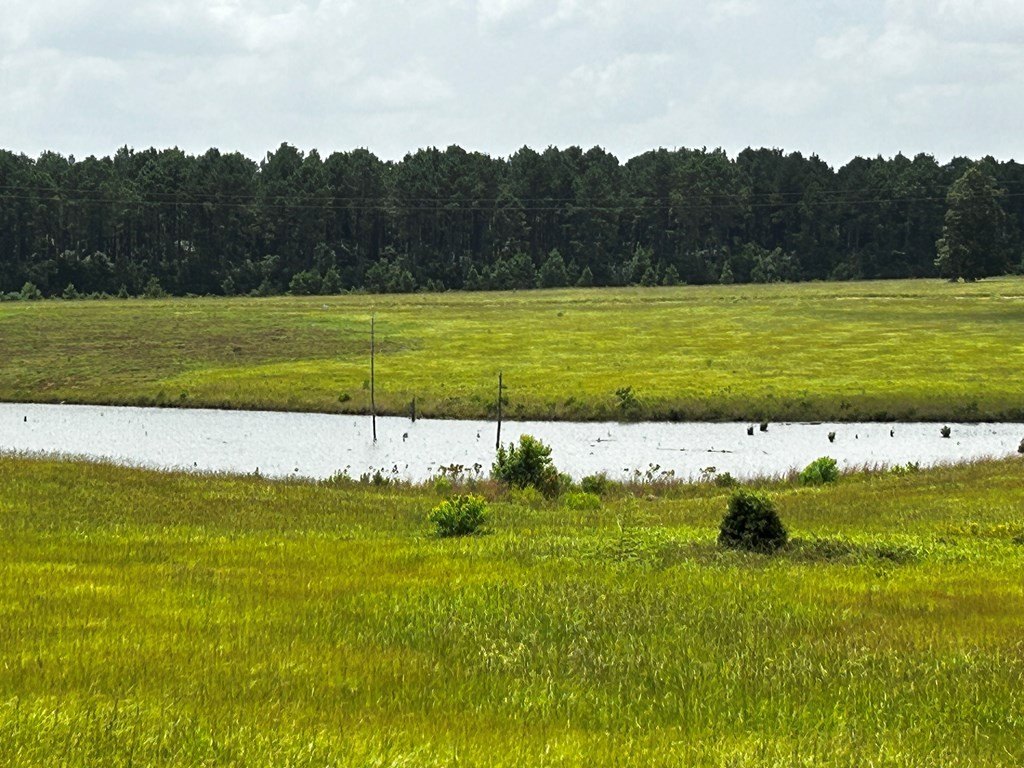 Picture 3