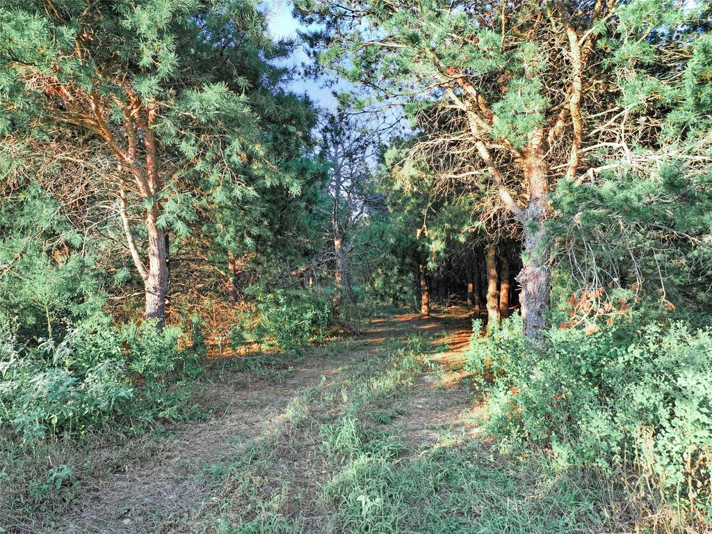 Picture 25