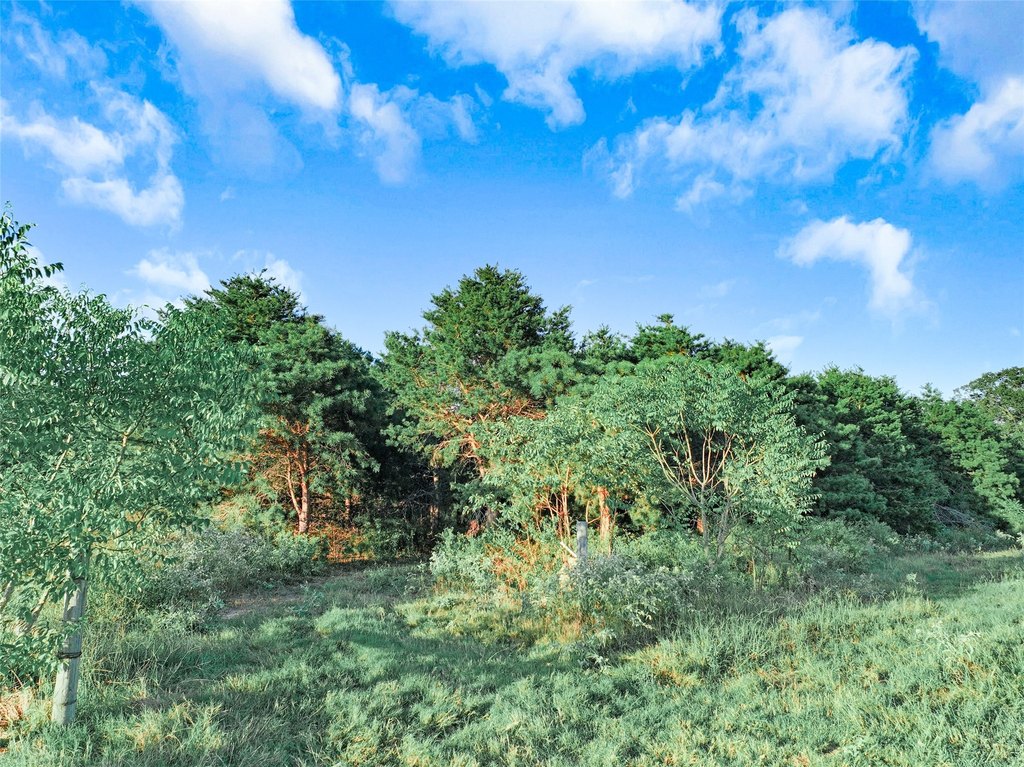 Picture 24