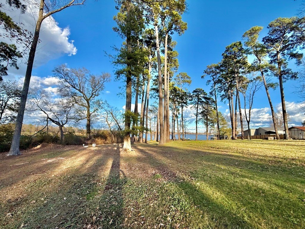 Picture 23