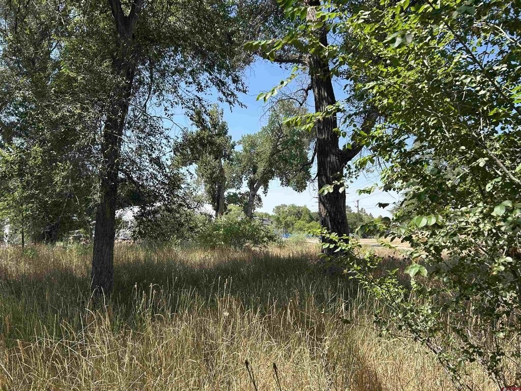 Land in Paonia, Colorado