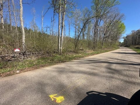 Savannah Land with Creek Access