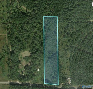 Piedmont, AL Wooded Acreage