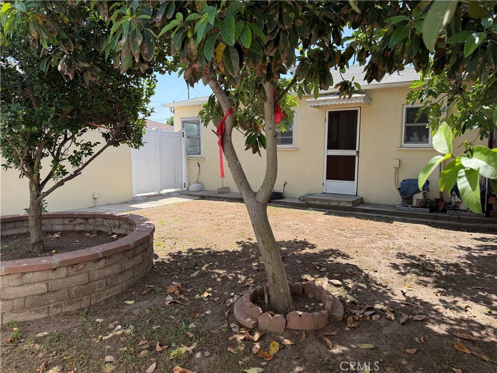 Picture 15
