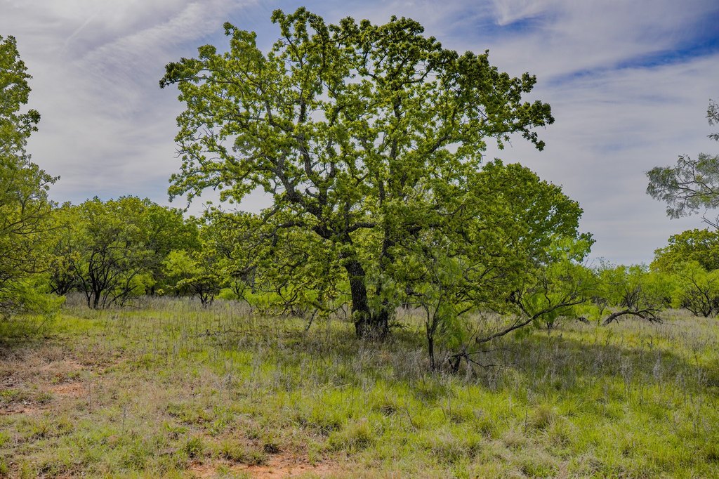 Picture 37