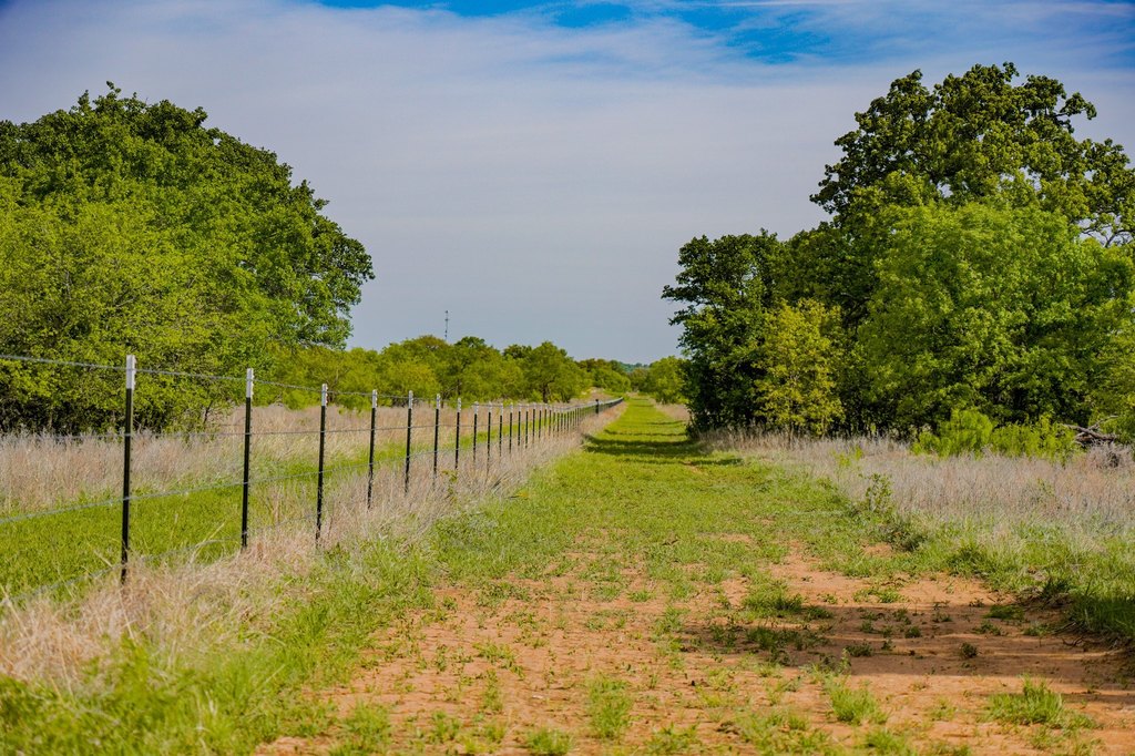 Picture 27