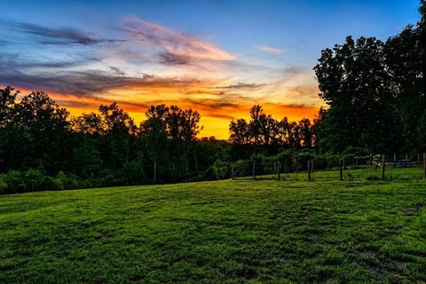 Mostly Cleared Acreage with Septic