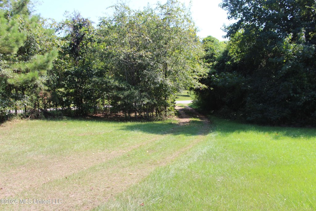 Picture 8