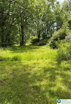 Land, Upper Mt Bethel Twp, PA