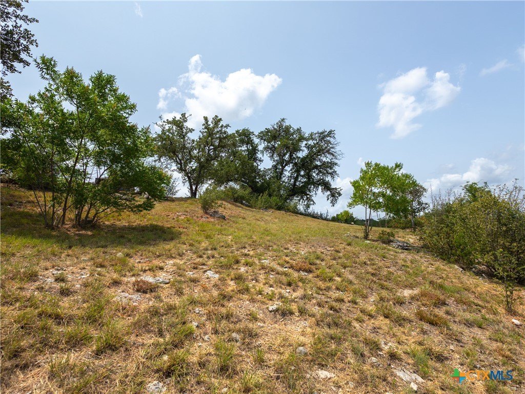 Picture 20