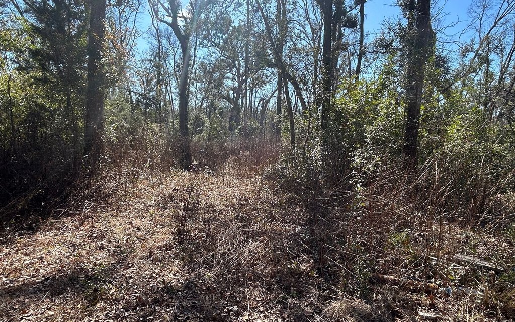 Picture 6