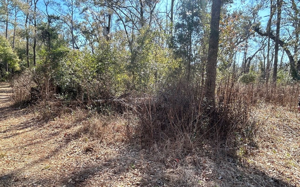 Picture 5