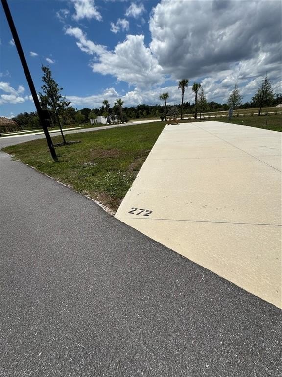Picture 21