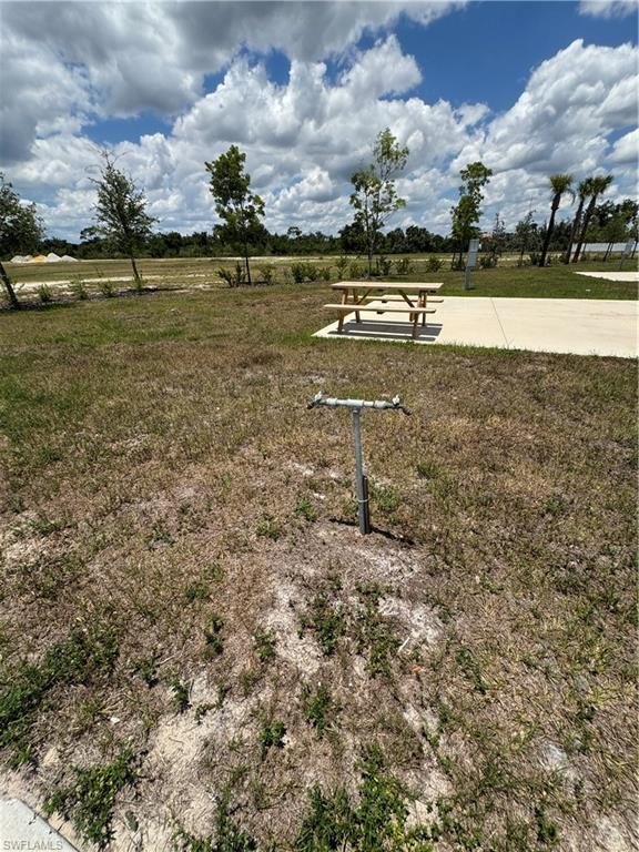 Picture 16