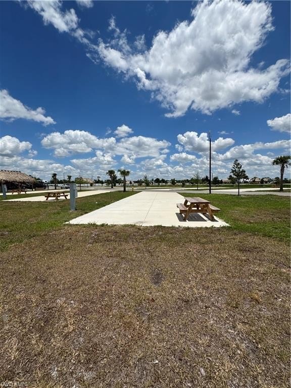 Picture 12
