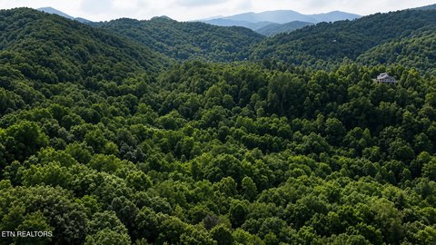 Lots & Acreage, Sevierville, TN