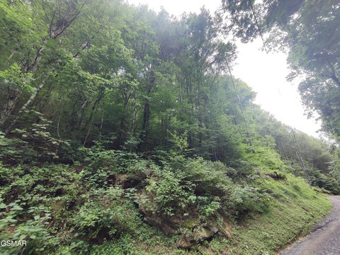 LAND - Sevierville, TN