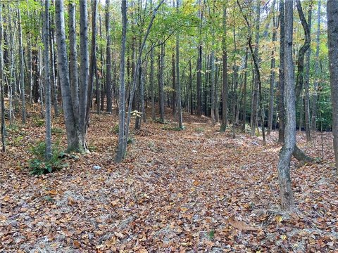 Spacious 12+ Acre Estate Lot